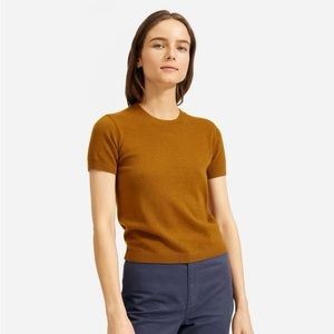 Everlane Cashmere Sweater Tee